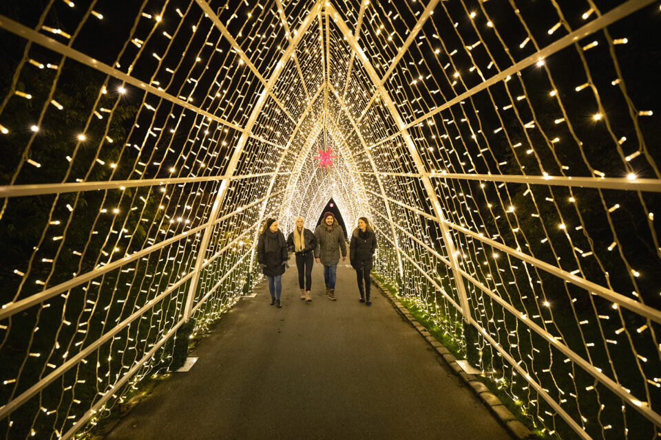 Christmas Garden kommt wieder in die Wilhelma Das ist geplant STUGGI.TV